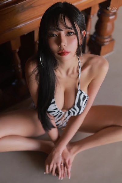 Dongeuran (동그란) ZEBRA