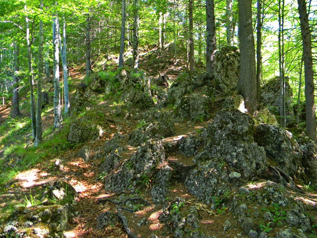 [DSCN20223.jpg]
