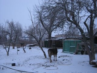 [Bokonbaev_snow2%255B2%255D.jpg]