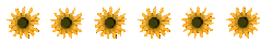sunflowers divider