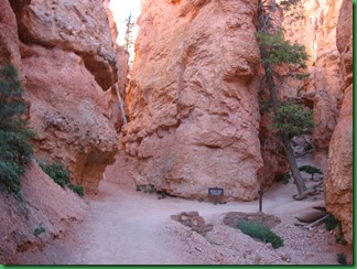 Navajo & Queens Garden trails 115