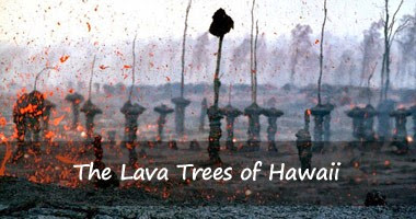 lava-trees