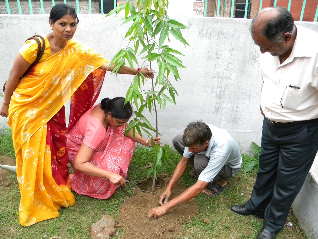 [DSCN4584%255B3%255D.jpg]