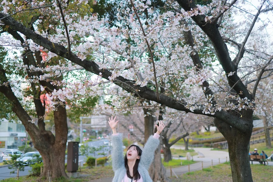 [Patreon] 쏘블리 (@leeesovely) Sakura Part1