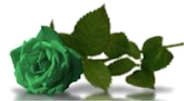 flor%25205.png