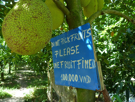 23. nu culegeti fructe.JPG