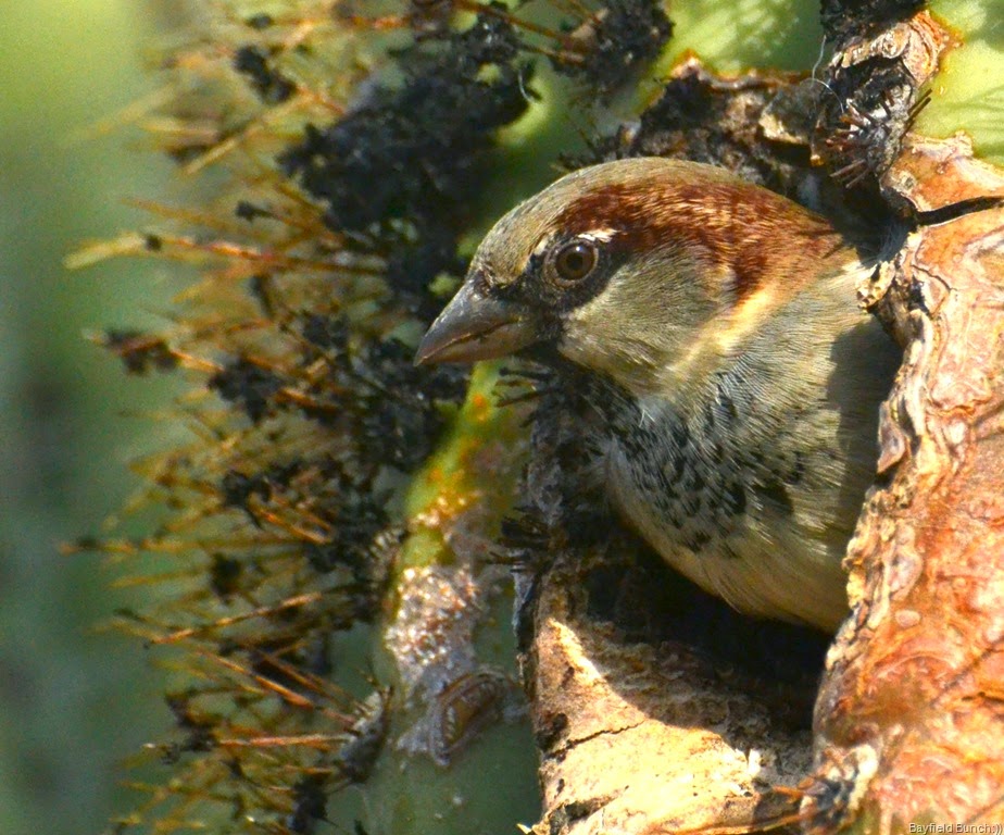 [DSC_0014%255B3%255D.jpg]