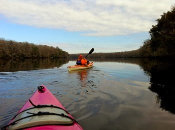 silky water as we paddle upstream on the Suwannee River