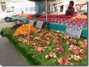 IMG_2187 IMG_2187