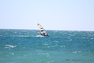 IMG_1679.JPG
