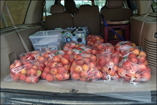 truck full of apples