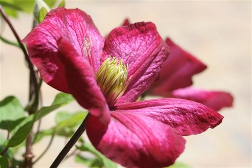 20100602 (2) (Small)