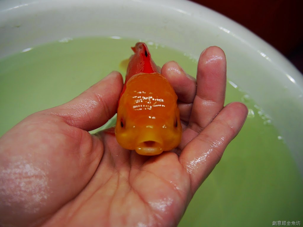 [208%255B7%255D.jpg]