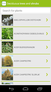 How to get Bruns Plants patch 1.05 apk for pc