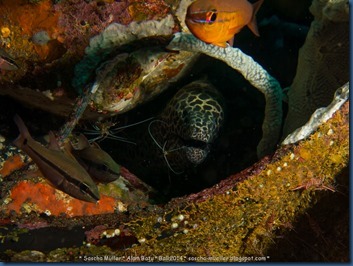 IMG_6179 IMG_6179