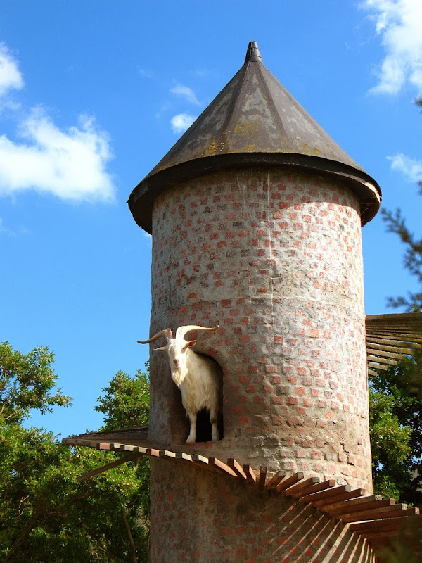 goat-tower-3
