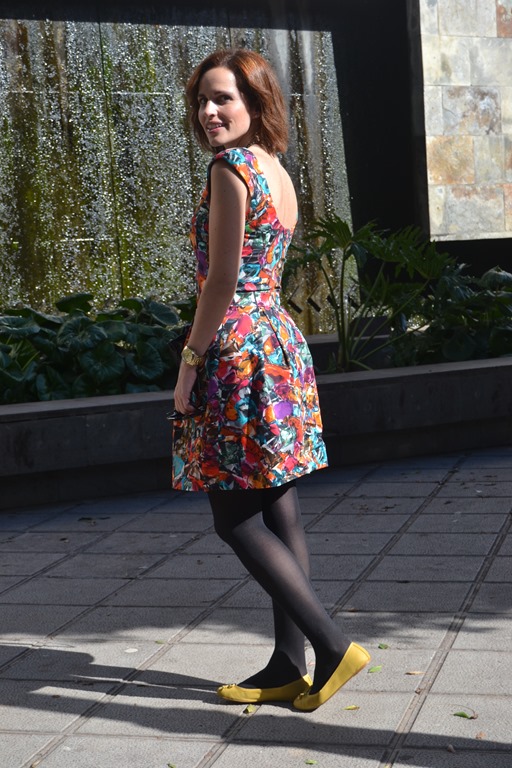 [DSC_1778%255B5%255D.jpg]