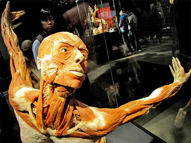 Gunter Von Hagens - 4.jpg