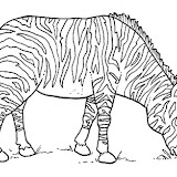 animales salvajes 5.jpg