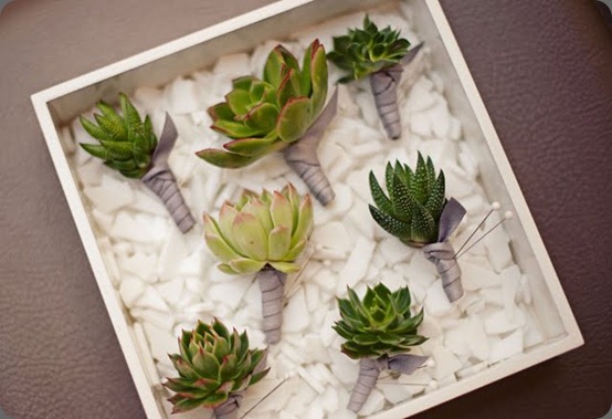 modernsucculentwedding3 JL Designs