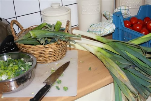 20090616 (1) (Small)