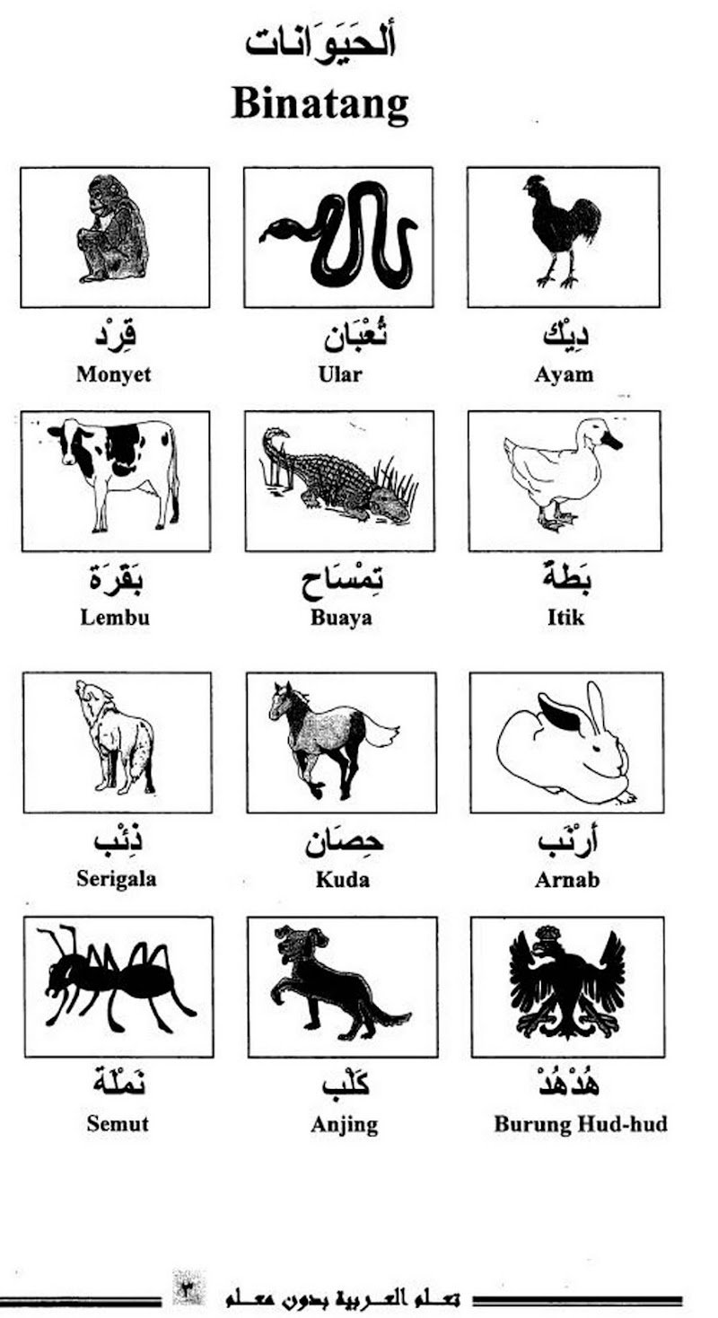 Penting Kamus Haiwan Bahasa Arab, Meja Makan