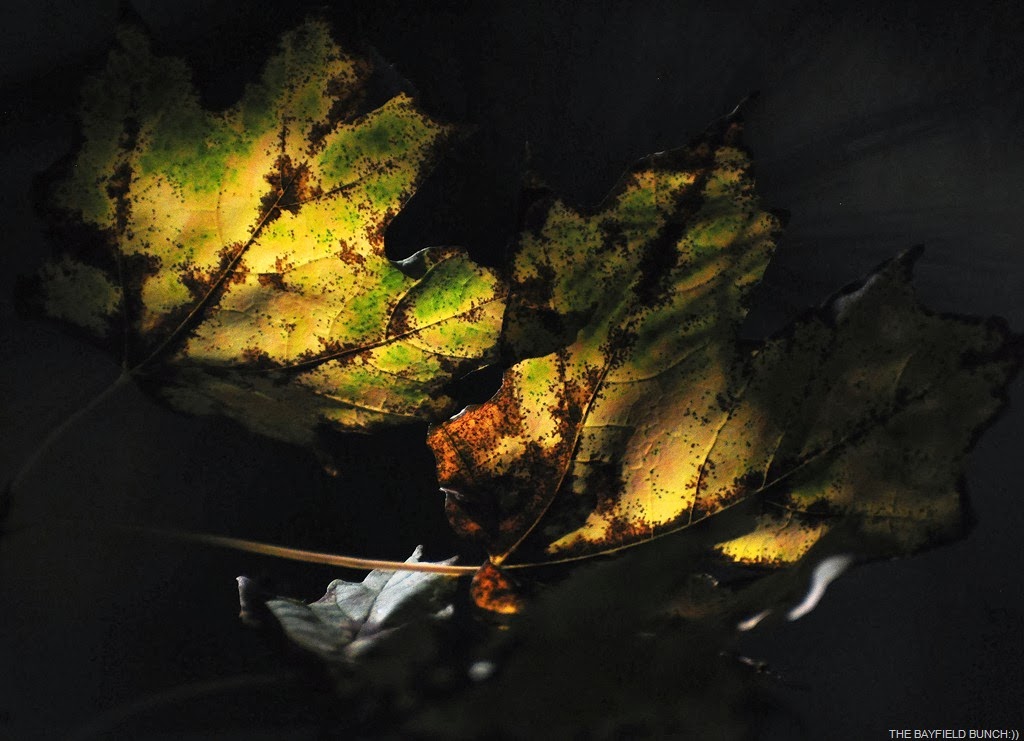 [DSC_0021%255B4%255D.jpg]