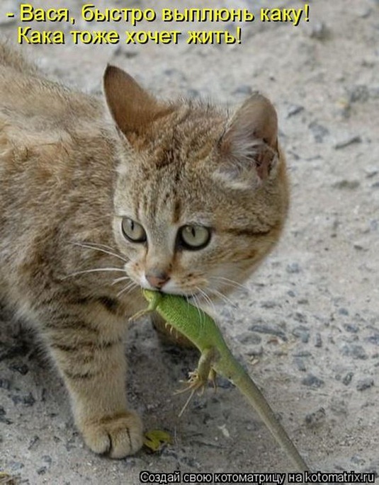 [clip_image032%255B3%255D.jpg]