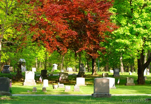 3. cemetery view-kab