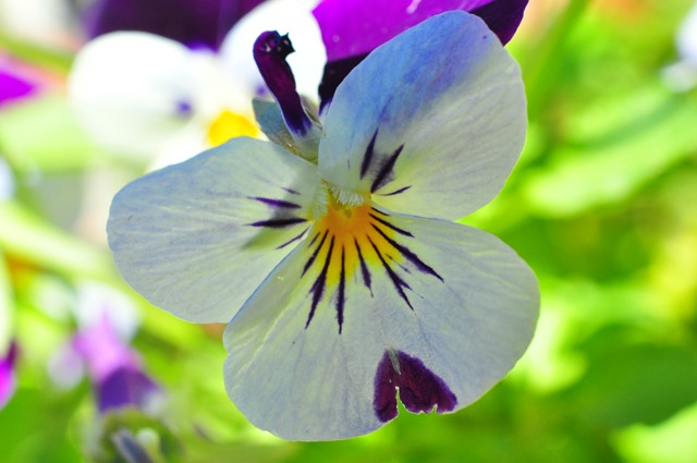 [DSC_0306%255B4%255D.jpg]