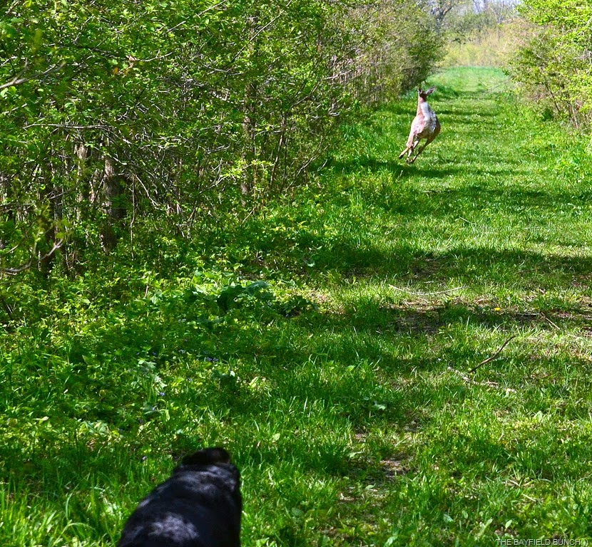 [DSC_0016%255B6%255D.jpg]