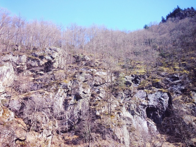 IMG_8539.jpg IMG_8539.jpg