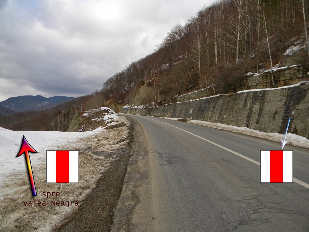 [DSCN00803.jpg]