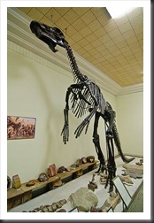 2011Aug1_Museum_of_Geology-2