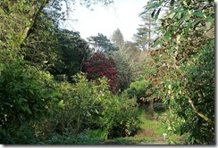 glenveagh castle gardens