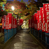 朝護孫子寺,紅葉(PK3_0104,F11,39mm,K3)2014yaotomi_.jpg