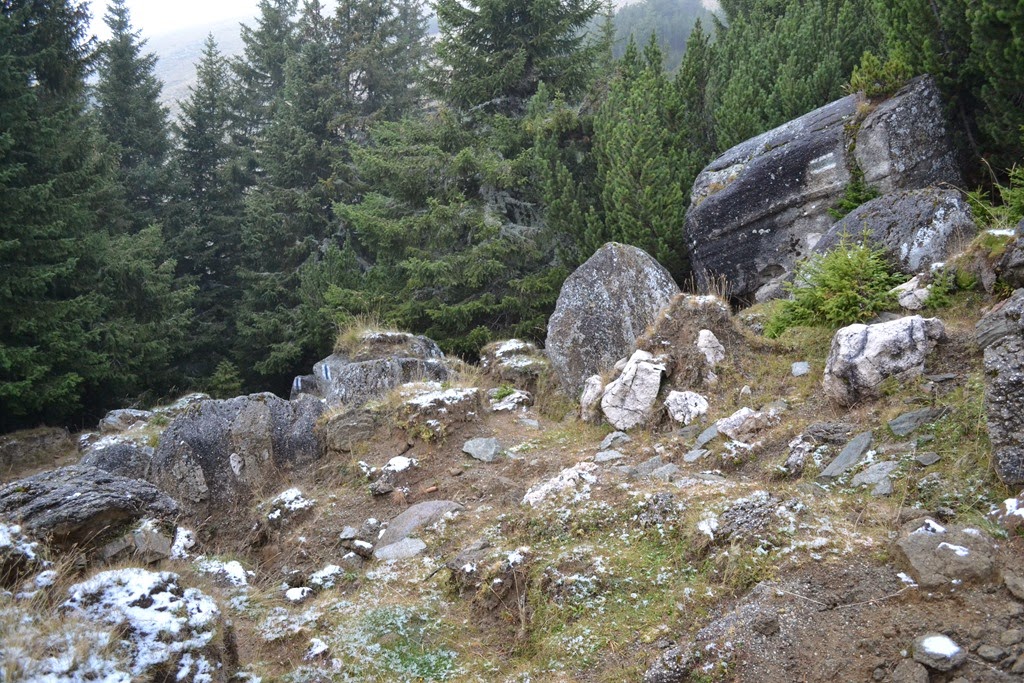[DSC_15063.jpg]