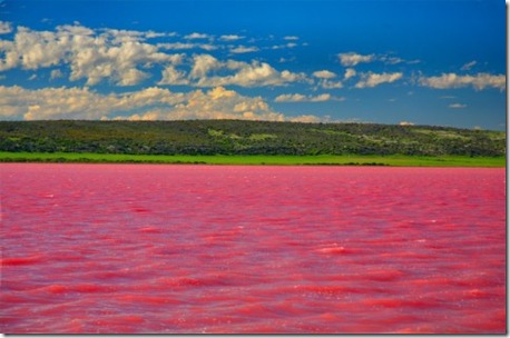 lacul roz