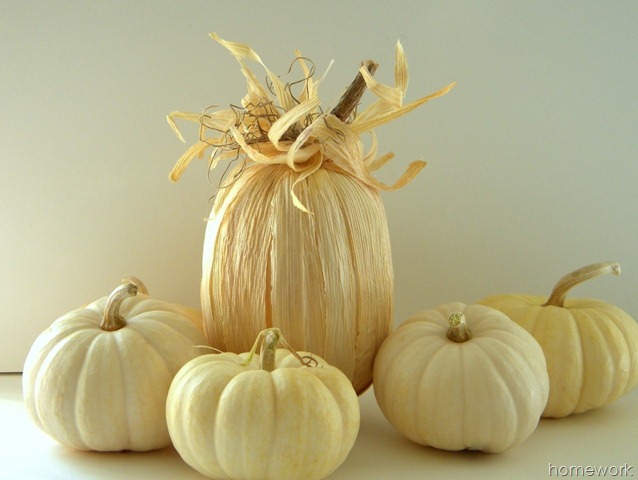 [Cornhusk-Pumpkin-36.jpg]