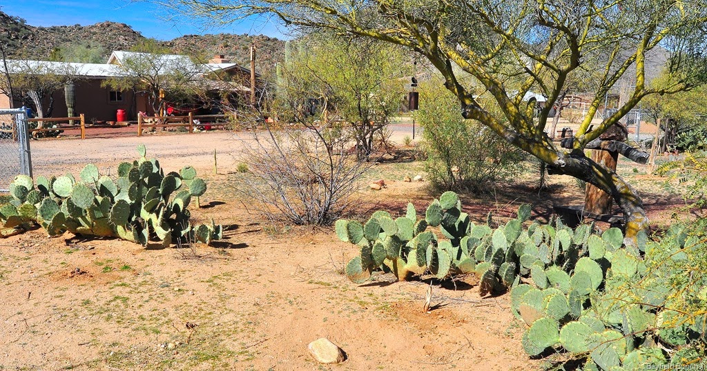 [DSC_0017%255B5%255D.jpg]