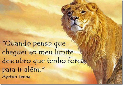 frases, imagens de força, fé, otimismo e superação | ❺❺ BAIXAR ...