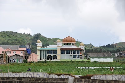 DSC_0479.JPG