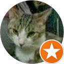 Image Google de axelle allard