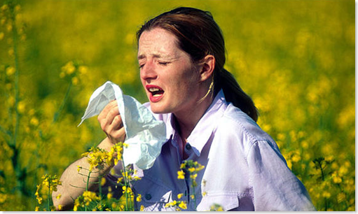 5 Unique Ways to Ease Your Allergy Problems