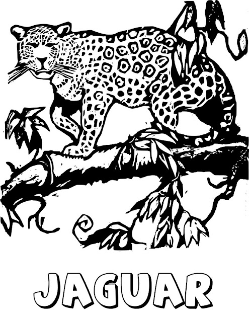 Jaguar Colorear Dibujos