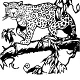 jaguar_on_tree_limb_coloring_page.jpg