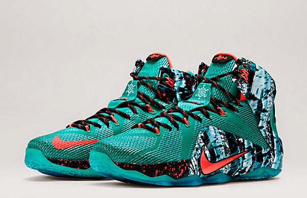 lebron 12 akron birch