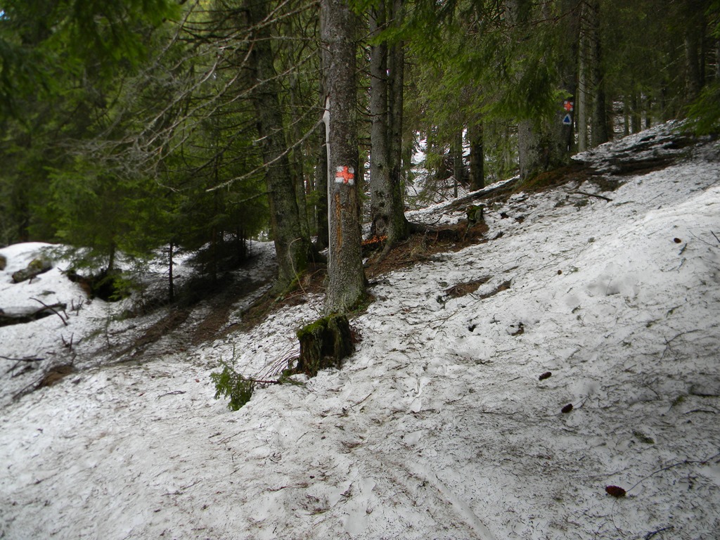 [DSCN68433.jpg]