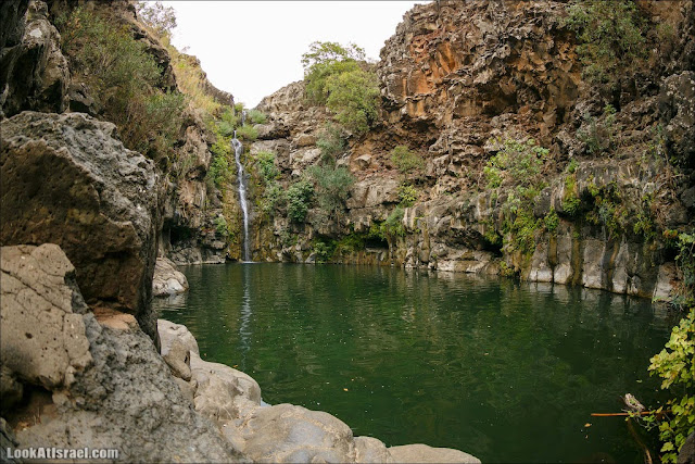 LookAtIsrael.com: Водопад Завитан (israel  путешествия природа парк голанские высоты водопады )
