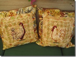 IMG_8995 IMG_8995